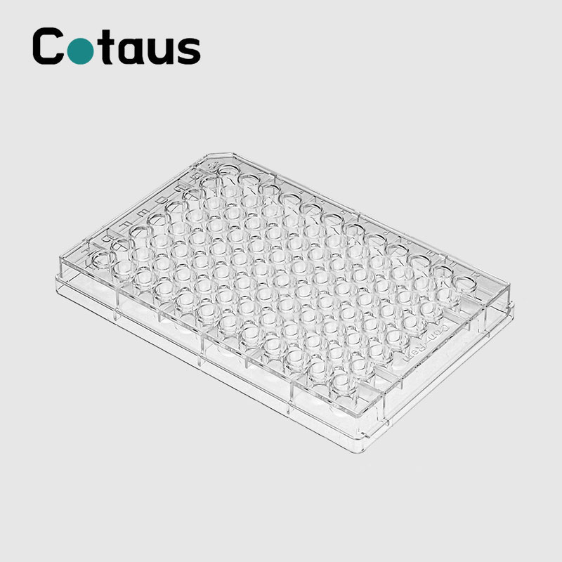 Predstavenie Elisa Plate